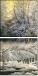 31192529