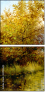 31192644
