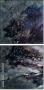 31219090