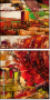 31863954