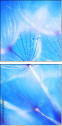 31914097