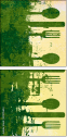 31995653