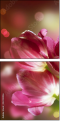 32312026