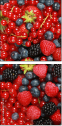 33767405
