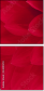 33891278