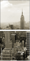 3629029