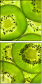 39788050