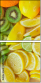 40402508