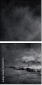 40411231