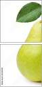 42343029