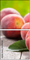 42496953