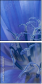42882077