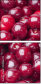 43026743