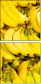 43501685
