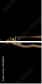 43866850