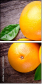 44049006
