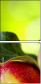 45125222