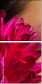 45325126