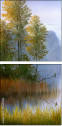 45640088