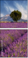4707314