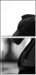 49013321
