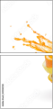 49232510
