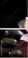 49497530