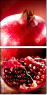 50426615