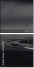 51619590