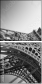 52165394