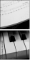 52337915