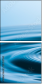 52455764