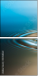 53058464