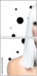 55595191