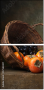 57583007