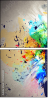 58065885