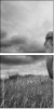 58462234