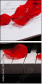 59304443