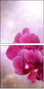 59767578