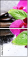 59767586