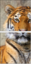 59798134