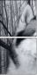60177878