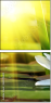 60275600