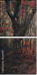 60442499