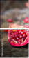 61040220