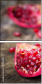 61040381