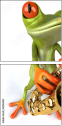 61064251