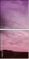 65457825