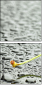 67079233
