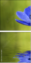 6756687